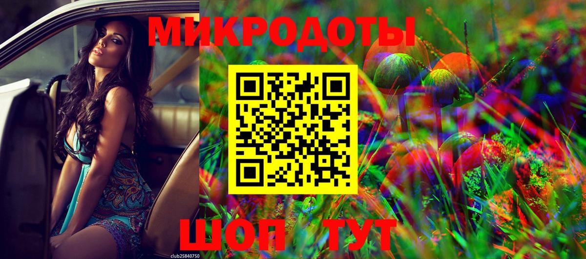Галлюциногенные грибы Psilocybe Самара