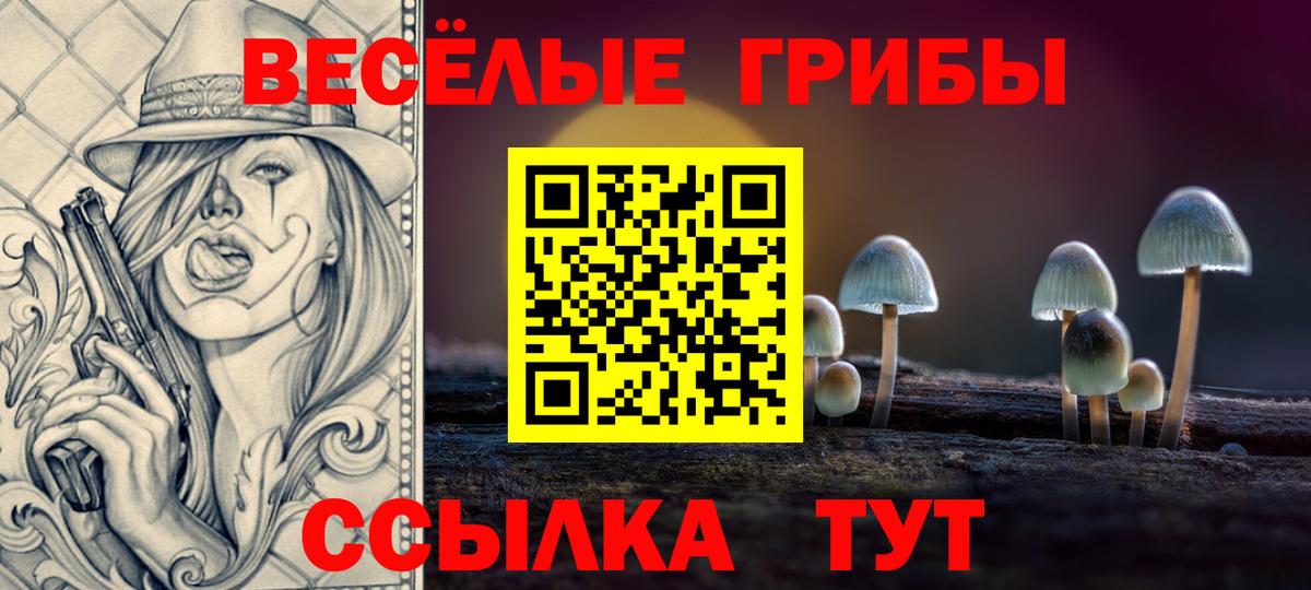 Самара  Галлюциногенные грибы Cubensis  Вход с VPN 